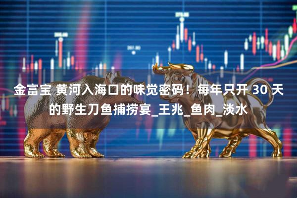 金富宝 黄河入海口的味觉密码！每年只开 30 天的野生刀鱼捕捞宴_王兆_鱼肉_淡水