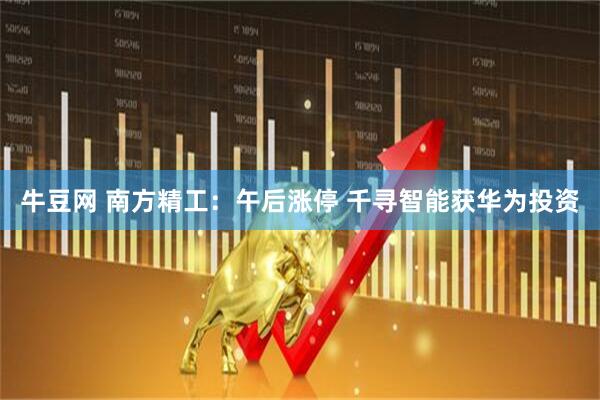 牛豆网 南方精工：午后涨停 千寻智能获华为投资