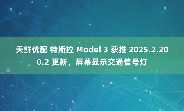 天鲜优配 特斯拉 Model 3 获推 2025.2.200.2 更新，屏幕显示交通信号灯