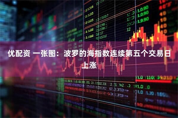 优配资 一张图：波罗的海指数连续第五个交易日上涨