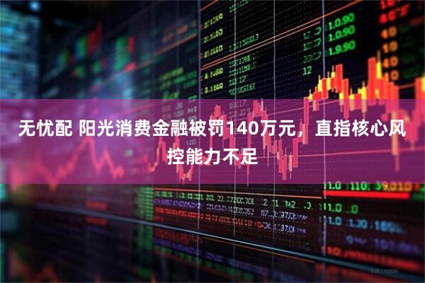 无忧配 阳光消费金融被罚140万元，直指核心风控能力不足