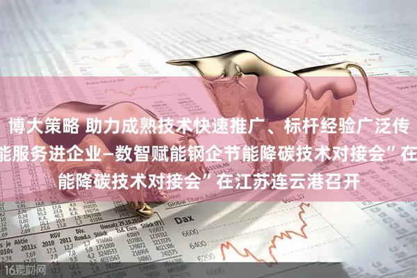 博大策略 助力成熟技术快速推广、标杆经验广泛传播——“2025节能服务进企业—数智赋能钢企节能降碳技术对接会”在江苏连云港召开