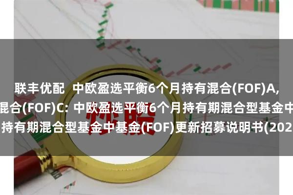 联丰优配 中欧盈选平衡6个月持有混合(FOF)A,中欧盈选平衡6个月持有混合(FOF)C: 中欧盈选平衡6个月持有期混合型基金中基金(FOF)更新招募说明书(2025年7月)
