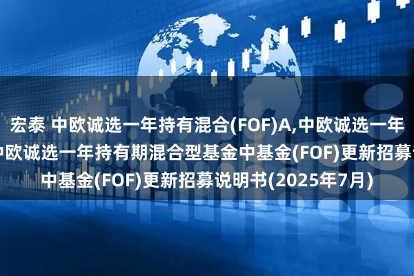 宏泰 中欧诚选一年持有混合(FOF)A,中欧诚选一年持有混合(FOF)C: 中欧诚选一年持有期混合型基金中基金(FOF)更新招募说明书(2025年7月)