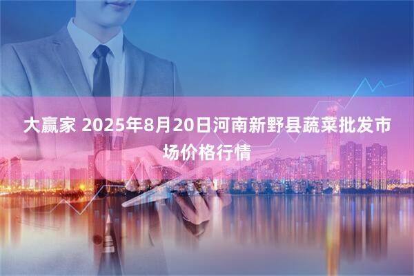 大赢家 2025年8月20日河南新野县蔬菜批发市场价格行情