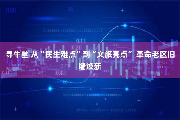 寻牛堂 从“民生难点”到“文旅亮点” 革命老区旧墙焕新