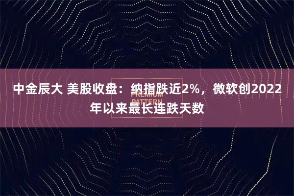 中金辰大 美股收盘：纳指跌近2%，微软创2022年以来最长连跌天数