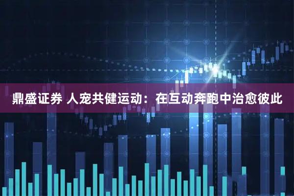 鼎盛证券 人宠共健运动：在互动奔跑中治愈彼此