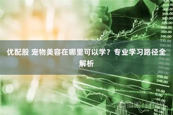 优配股 宠物美容在哪里可以学？专业学习路径全解析
